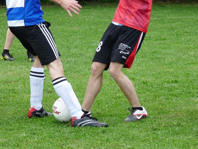 极的态度和 极的态度和