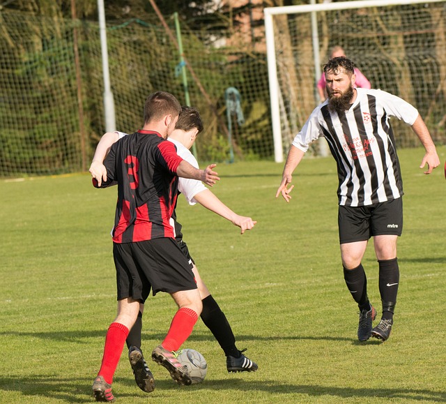 加強了球隊 加強了球隊