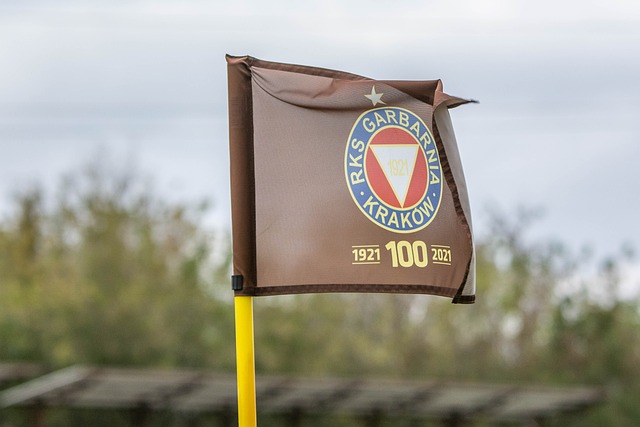 战队崭露头 战队崭露头