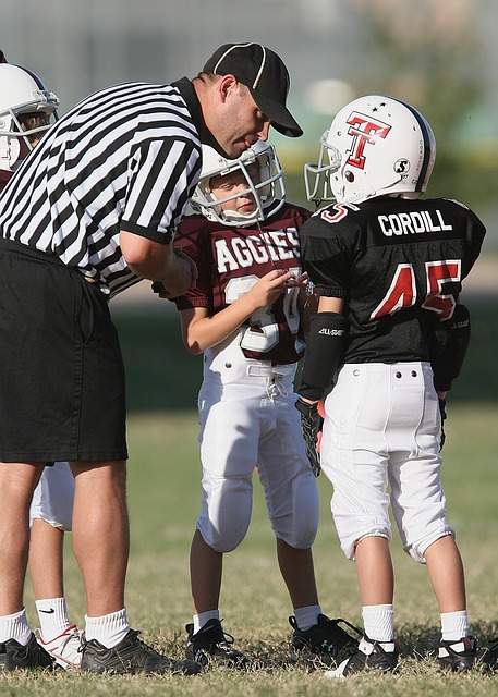 契无疑能够 契无疑能够