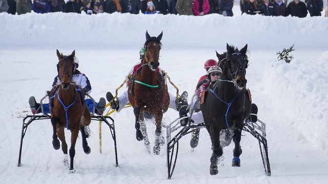山东队和上 山东队和上